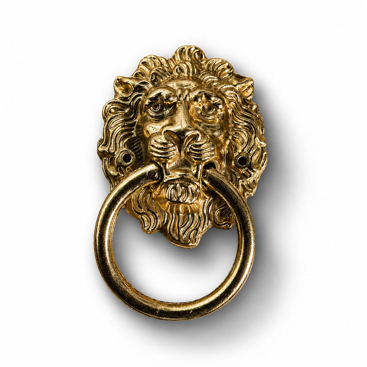 Brass Lion Door Knocker